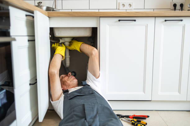Best Leak Detection Services  in , IA